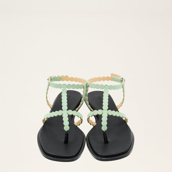 MOON - FRESH GREEN – MARY AL TERNA